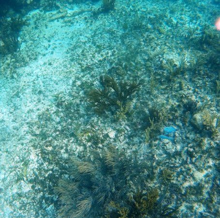 Zona Arqueológica de Tulum